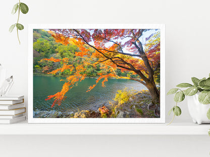 Autumn Forest & Arashiyama River Glass Framed Wall Art, Ready to Hang Quality Print Without White Border White