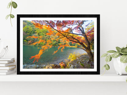 Autumn Forest & Arashiyama River Glass Framed Wall Art, Ready to Hang Quality Print With White Border Black