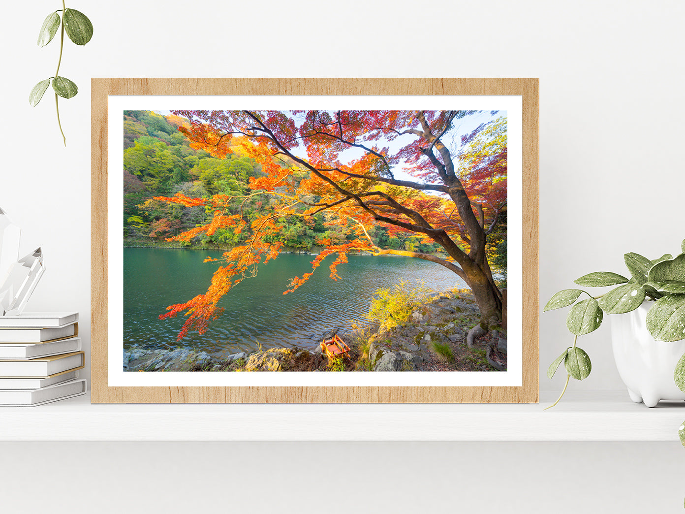 Autumn Forest & Arashiyama River Glass Framed Wall Art, Ready to Hang Quality Print With White Border Oak