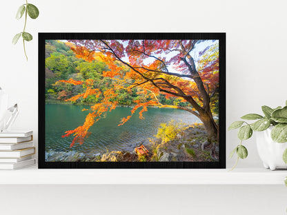 Autumn Forest & Arashiyama River Glass Framed Wall Art, Ready to Hang Quality Print Without White Border Black