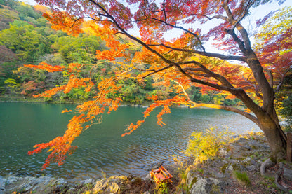 Autumn Forest & Arashiyama River Glass Framed Wall Art, Ready to Hang Quality Print