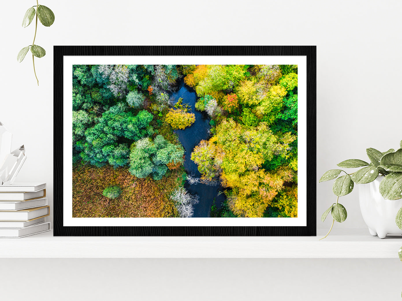 Colorful Forest & River In Autumn Glass Framed Wall Art, Ready to Hang Quality Print With White Border Black