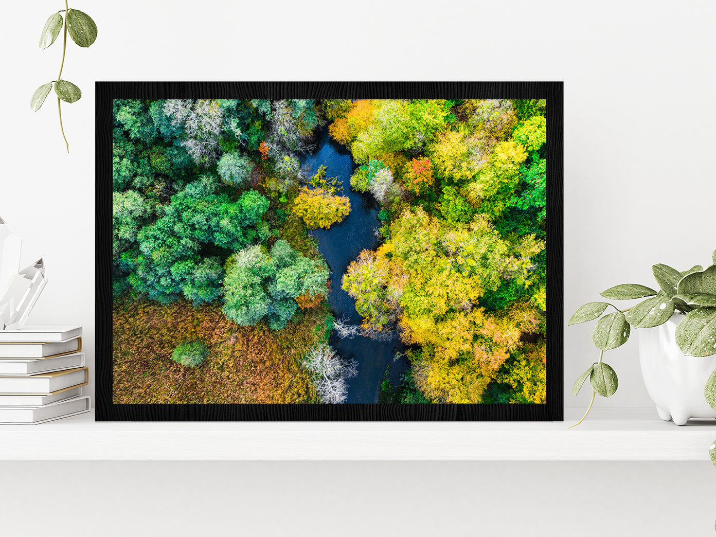 Colorful Forest & River In Autumn Glass Framed Wall Art, Ready to Hang Quality Print Without White Border Black