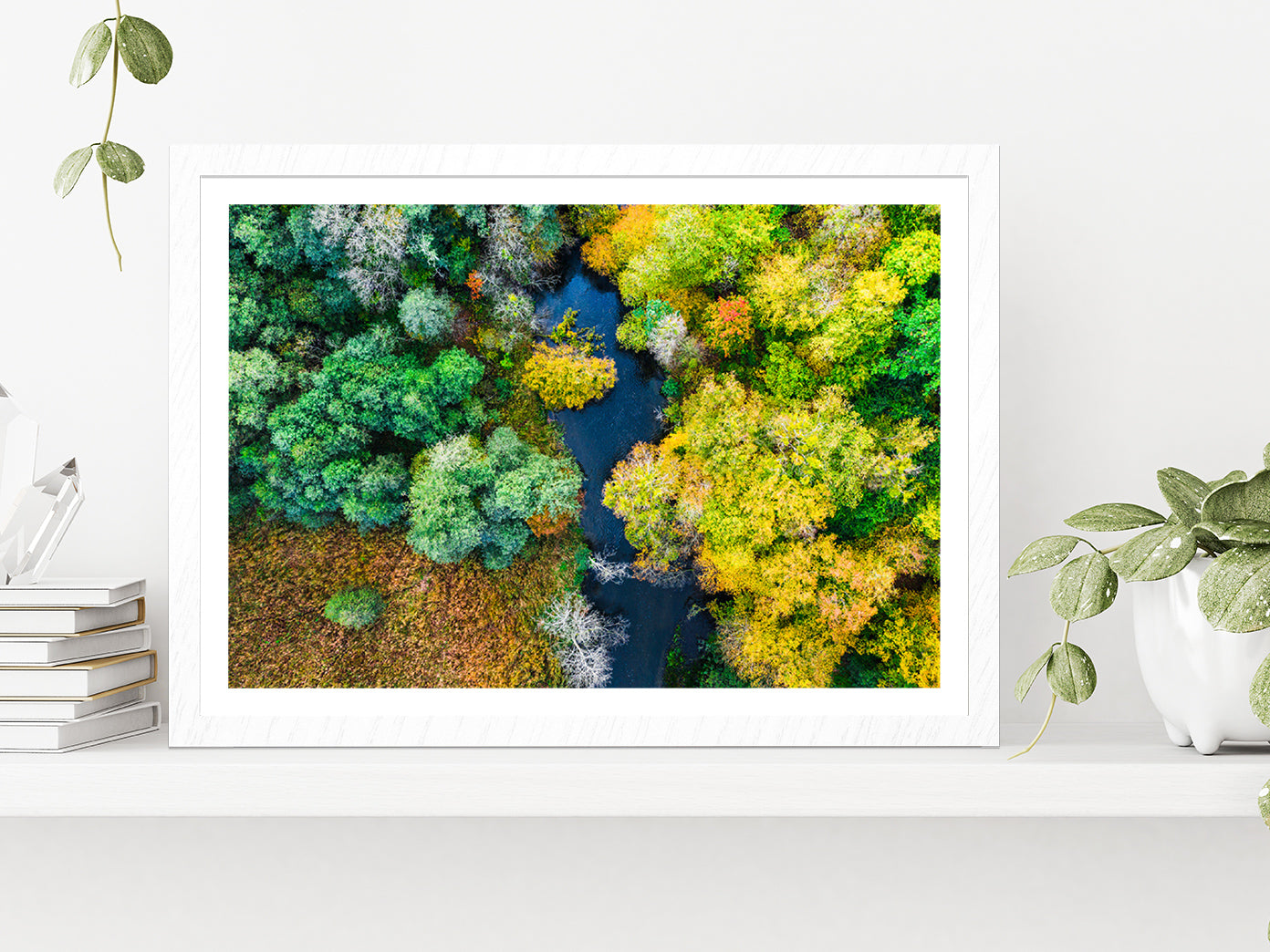 Colorful Forest & River In Autumn Glass Framed Wall Art, Ready to Hang Quality Print With White Border White