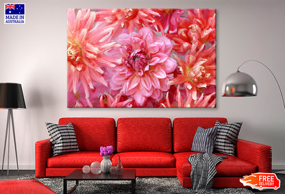 Pink Orange Chrysanthemum Dahlia Oil Painting Wall Art Limited Edition High Quality Print