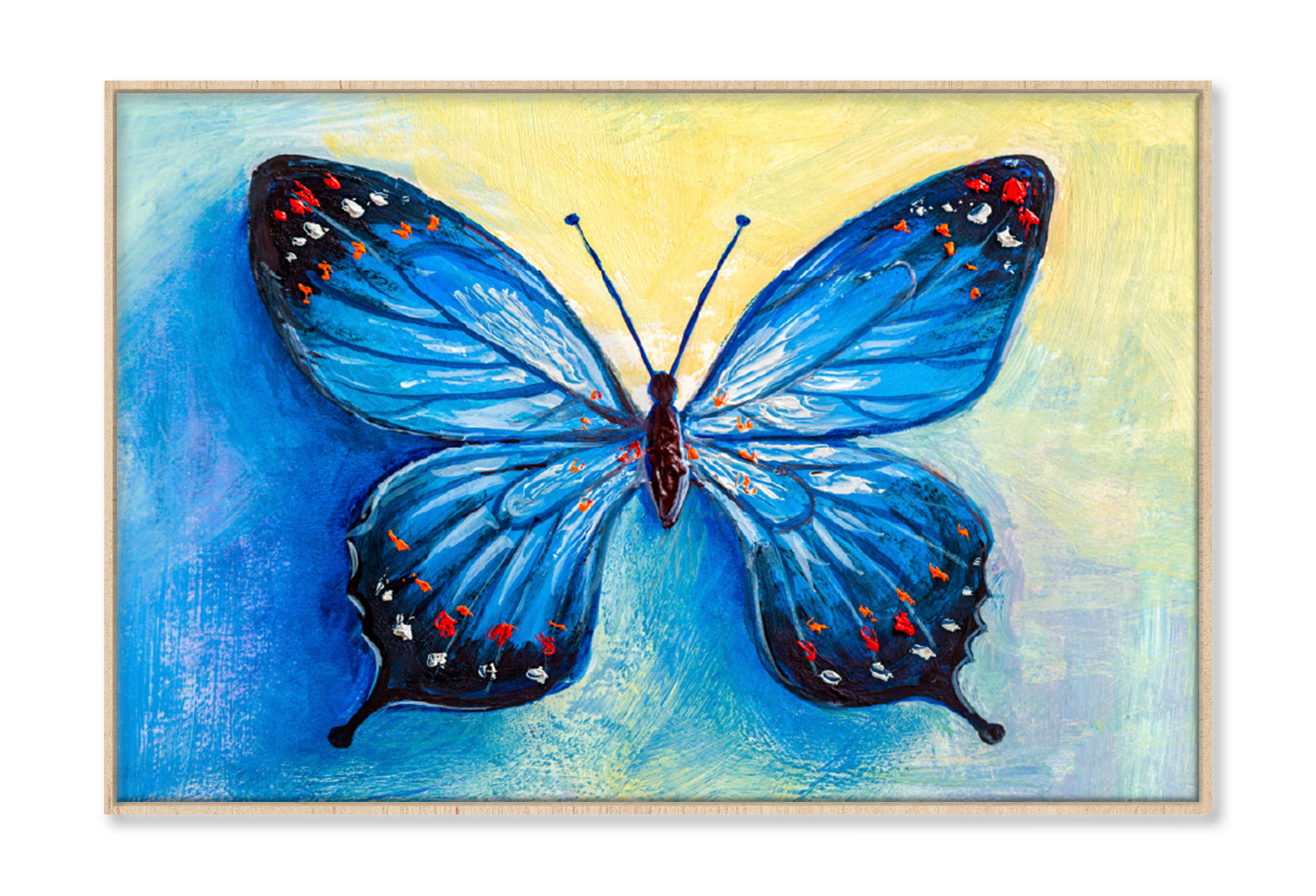 Oil Painting Of Blue Butterfly Limited Edition High Quality Print Canvas Box Framed Natural