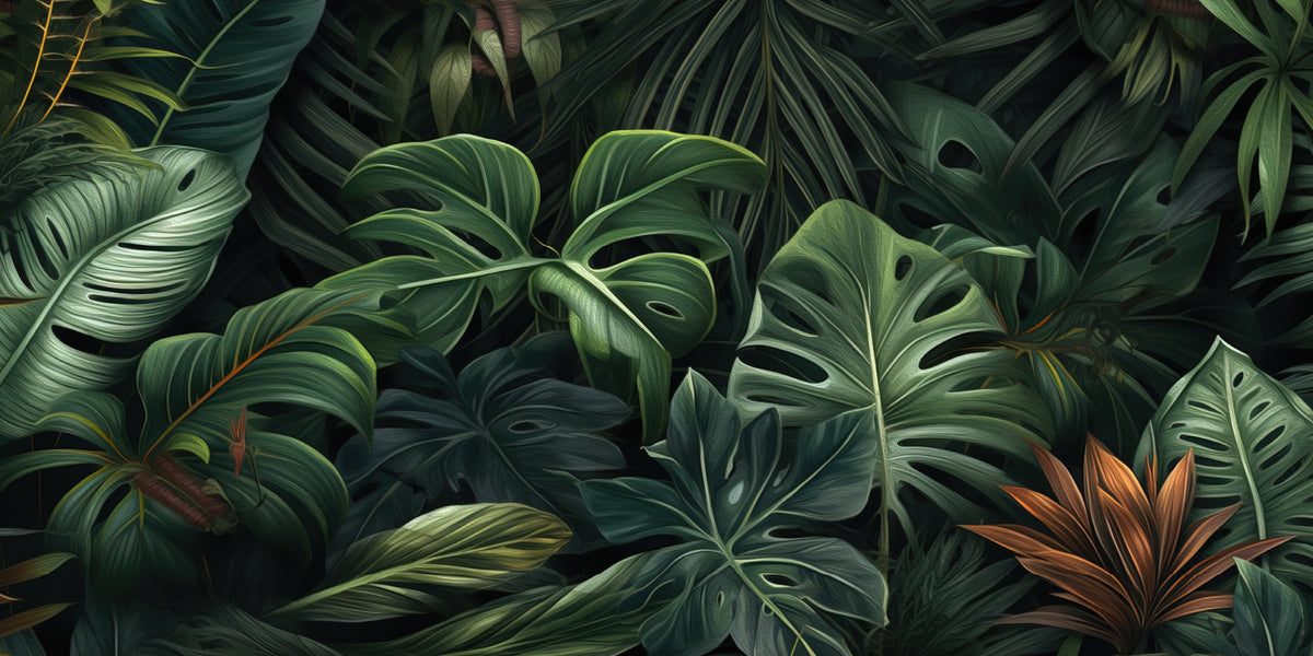 Dark Green Monstera Jungle Wall Art Canvas Office Home Room Framed 120x60cm