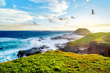 Philipp Island Nature Park Australia Wall Art Decor 100% Australian Made