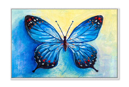 Oil Painting Of Blue Butterfly Limited Edition High Quality Print Canvas Box Framed White