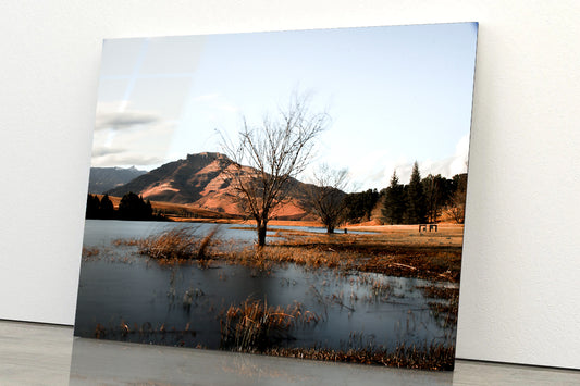 A Lake with a Tree with Mountains Acrylic Glass Print Tempered Glass Wall Art 100% Made in Australia Ready to Hang