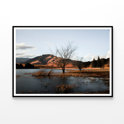 A Lake with a Tree with Mountains Home Decor Premium Quality Poster Print Choose Your Sizes