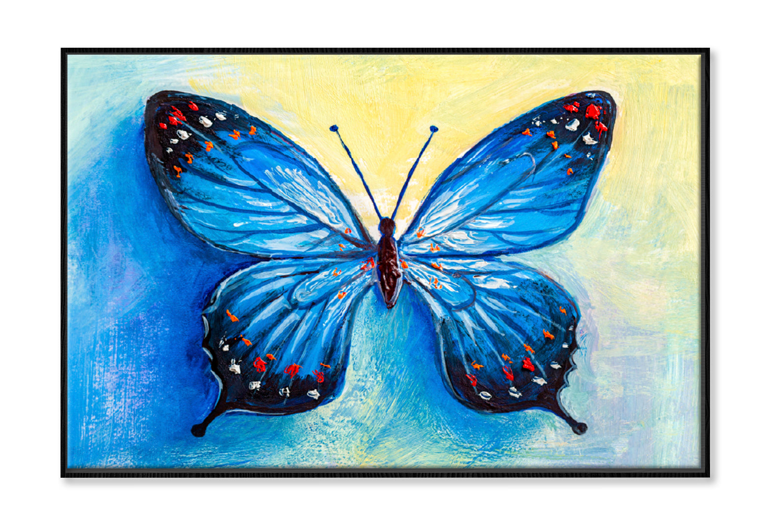 Oil Painting Of Blue Butterfly Limited Edition High Quality Print Canvas Box Framed Black