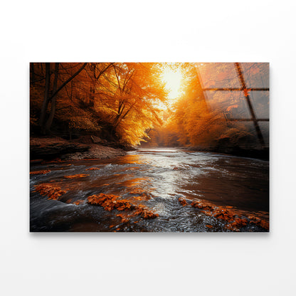 Orange autumn on The River Acrylic Glass Print Tempered Glass Wall Art 100% Made in Australia Ready to Hang