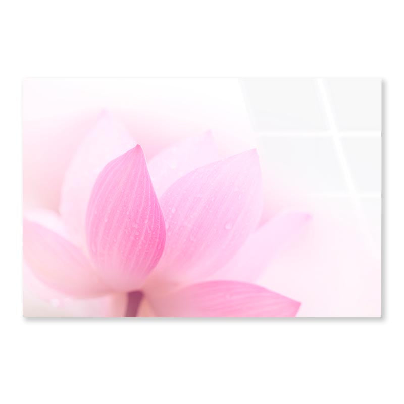 Closeup On Lotus Petal Acrylic Glass Print Tempered Glass Wall Art 100% Made in Australia Ready to Hang