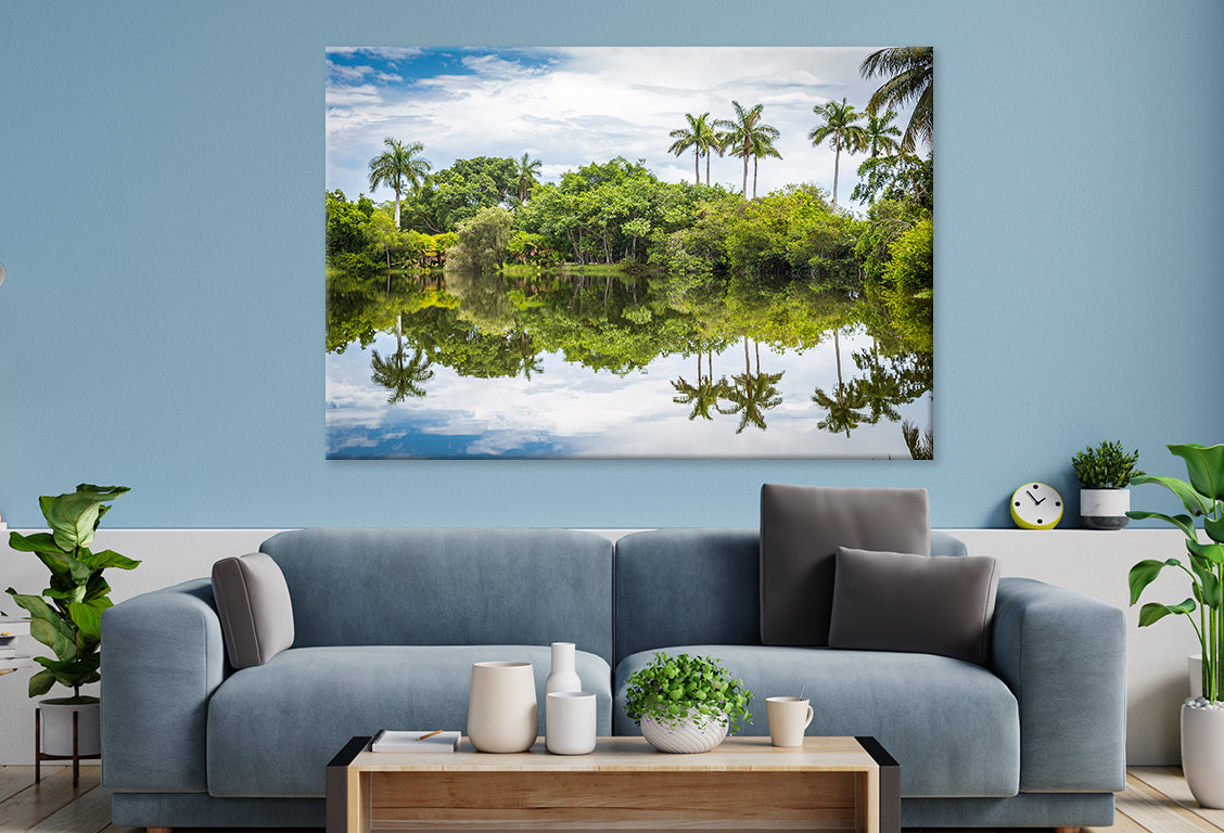 Palm Trees Reflected in Lake, Miami Wall Art Decor 100% Australian Made