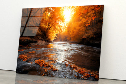 Orange autumn on The River Acrylic Glass Print Tempered Glass Wall Art 100% Made in Australia Ready to Hang