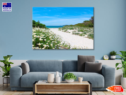 Pathway through the Sand Dunes Sardinia 90x60cm Print 100% Australian Made