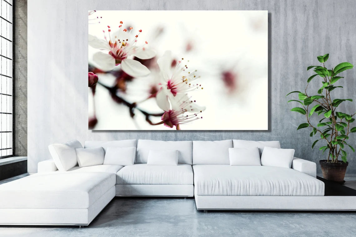 Japanese Blossom Flower Acrylic Glass Print Tempered Glass Wall Art 100% Made in Australia Ready to Hang