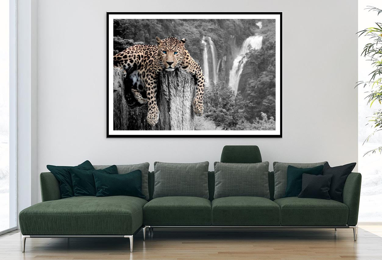 Tiger Blue Eyes Decor Premium Quality Poster Print Choose Your Sizes