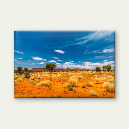 Hakea Tree in Australian Outback Wall Art Decor 100% Australian Made