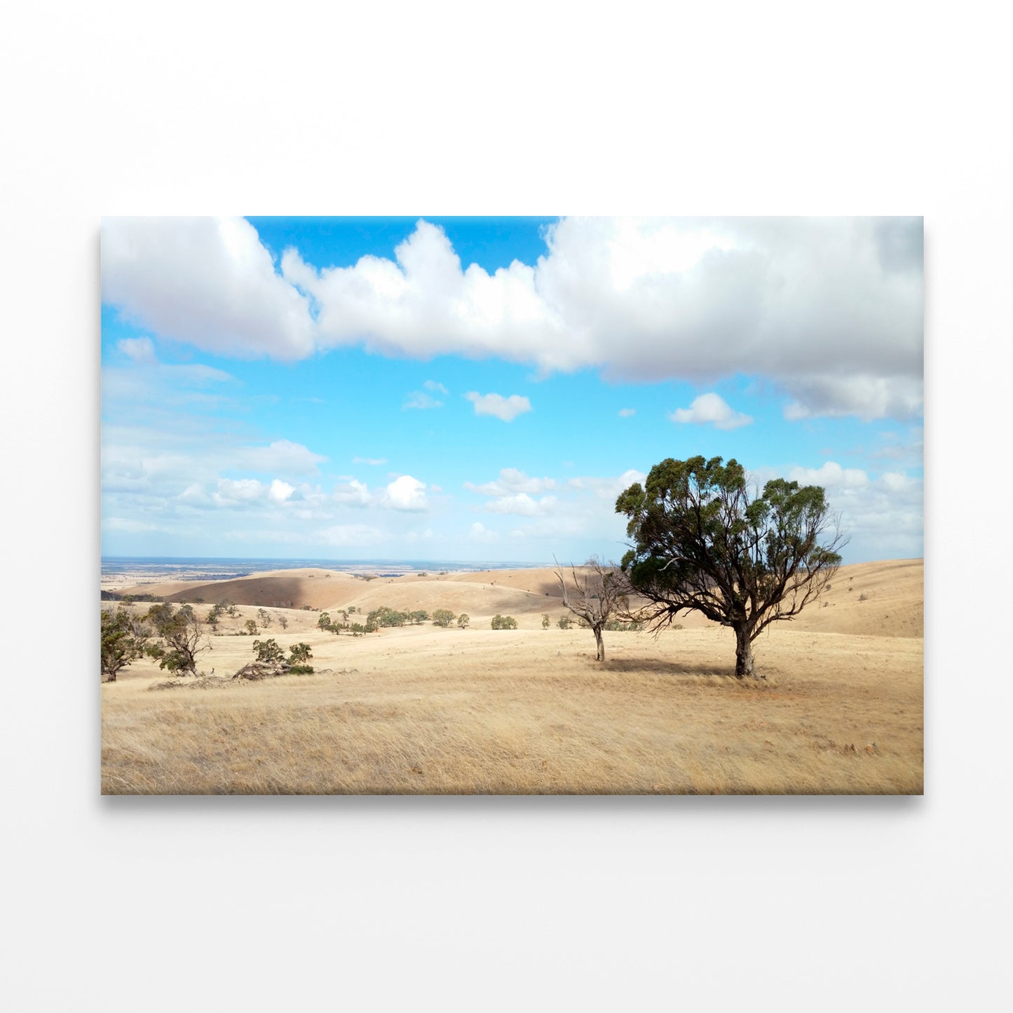 Barossa Valley Countryside South Australia Wall Art Decor 100% Australian Made