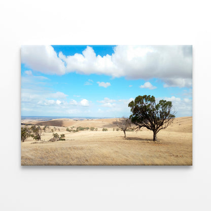 Barossa Valley Countryside South Australia Wall Art Decor 100% Australian Made