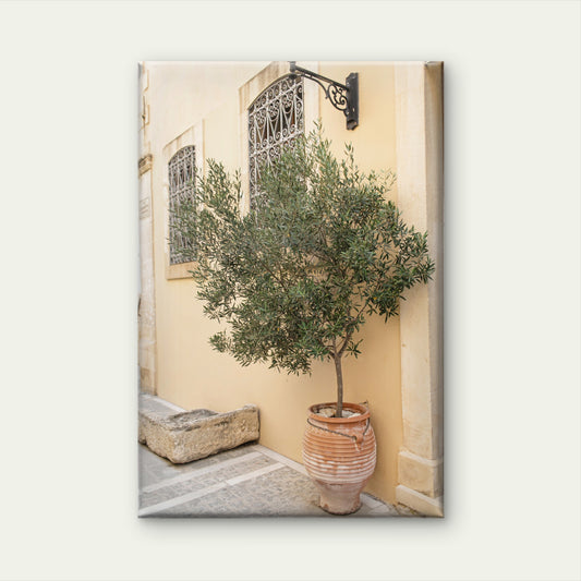 Mediterranean Courtyard with a Potted Olive Tree Wall Art Decor 100% Australian Made