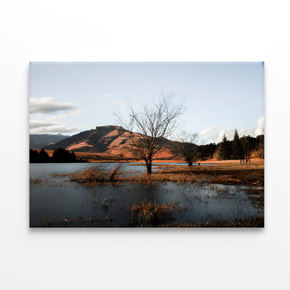 A Lake with a Tree with Mountains Print 100% Australian Made