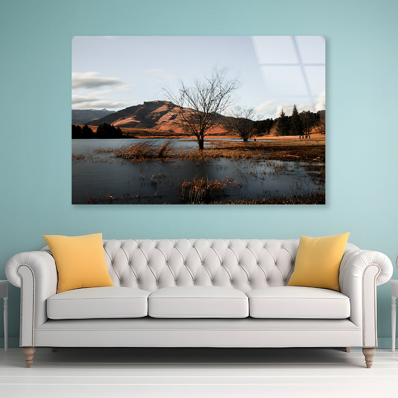 A Lake with a Tree with Mountains Acrylic Glass Print Tempered Glass Wall Art 100% Made in Australia Ready to Hang