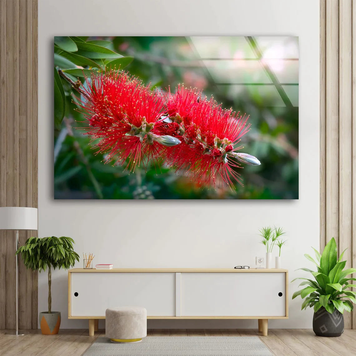 Red Gum Flowers View UV Direct Aluminum Print Australian Made Quality