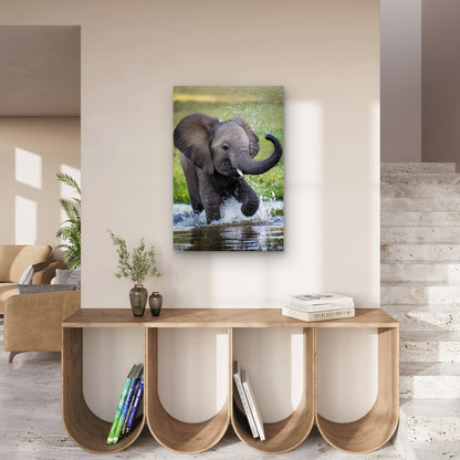 Baby Elephant Splashing Water Nature 60x90cm Metal Print Ready to Hang