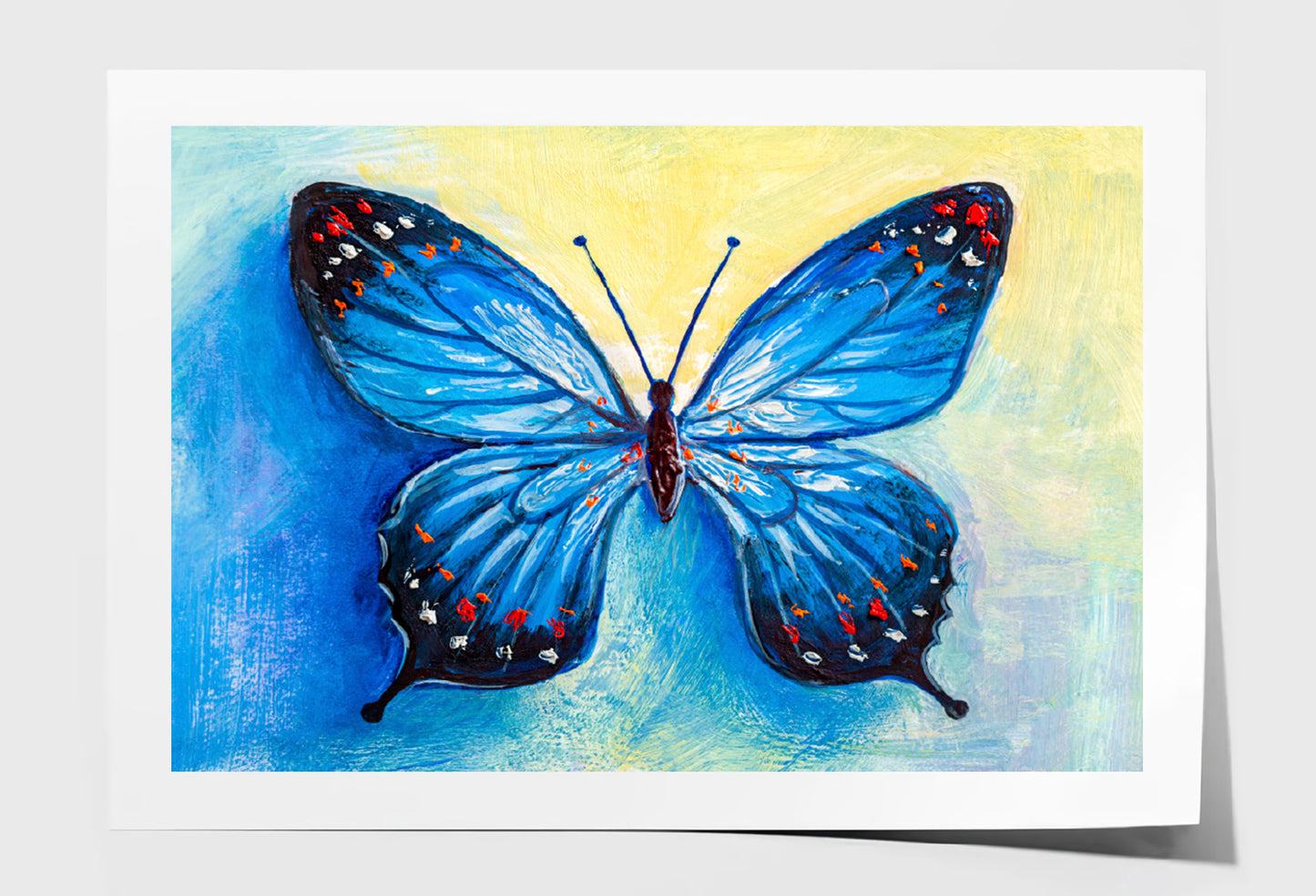 Oil Painting Of Blue Butterfly Limited Edition High Quality Print Unframed Roll Canvas None