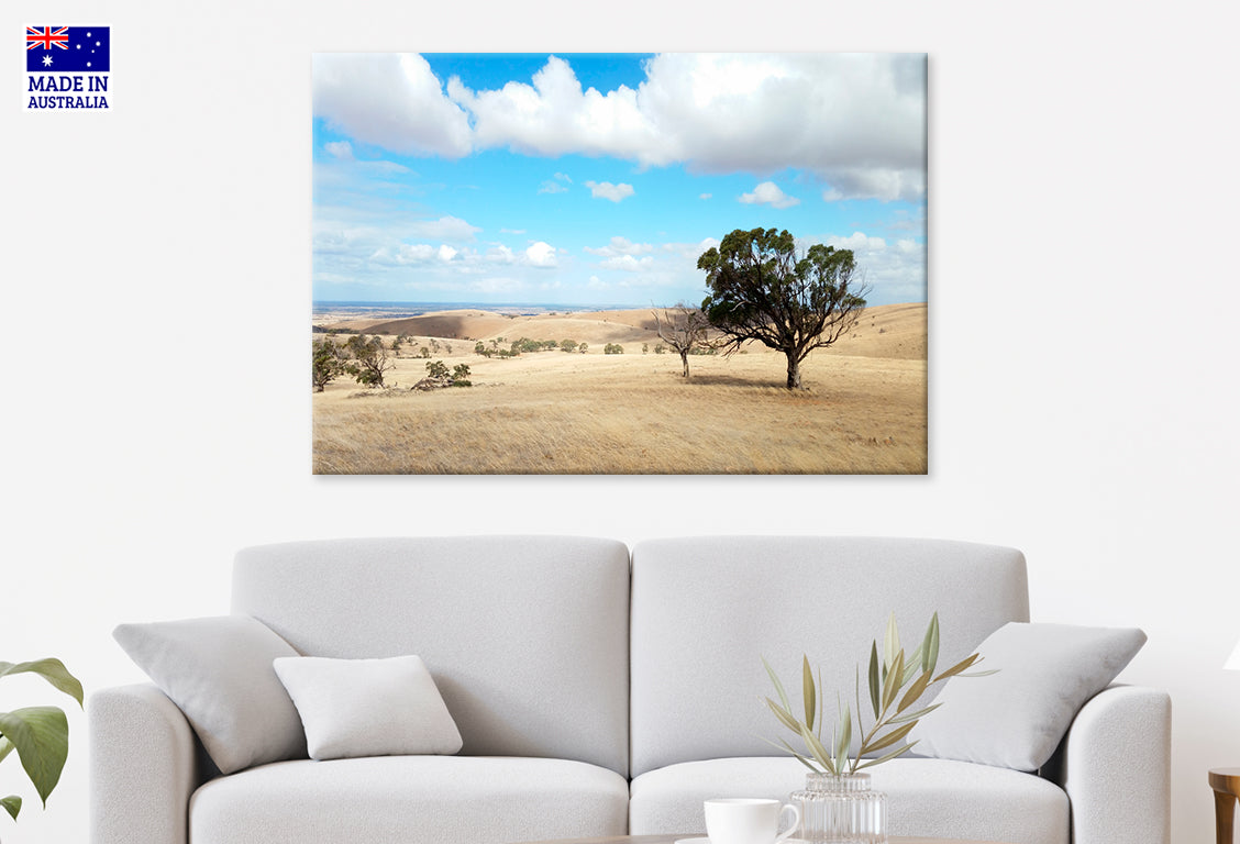 Barossa Valley Countryside South Australia Wall Art Decor 100% Australian Made