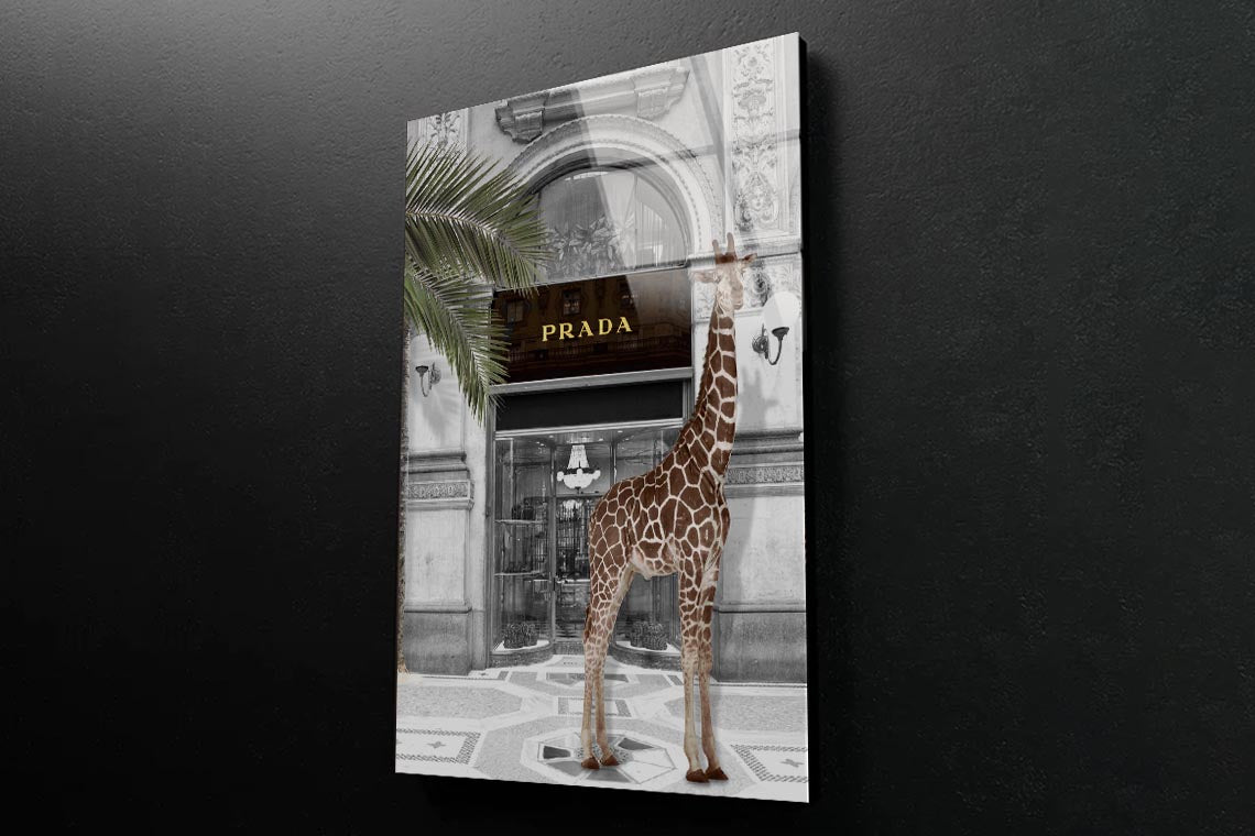 Giraffe & Fashion Store 3D Design Acrylic Glass Print Tempered Glass Wall Art 100% Made in Australia Ready to Hang