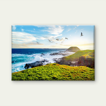 Philipp Island Nature Park Australia Wall Art Decor 100% Australian Made