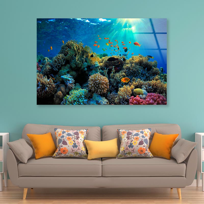 Beautiful Coral Reef and Mach Fish Acrylic Glass Print Tempered Glass Wall Art 100% Made in Australia Ready to Hang