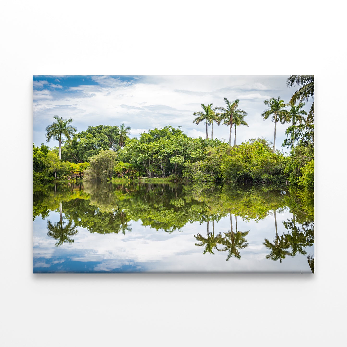 Palm Trees Reflected in Lake, Miami Wall Art Decor 100% Australian Made