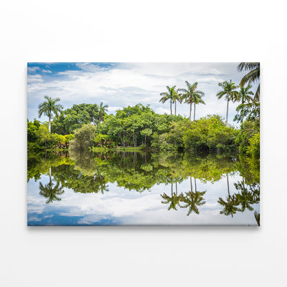 Palm Trees Reflected in Lake, Miami Wall Art Decor 100% Australian Made