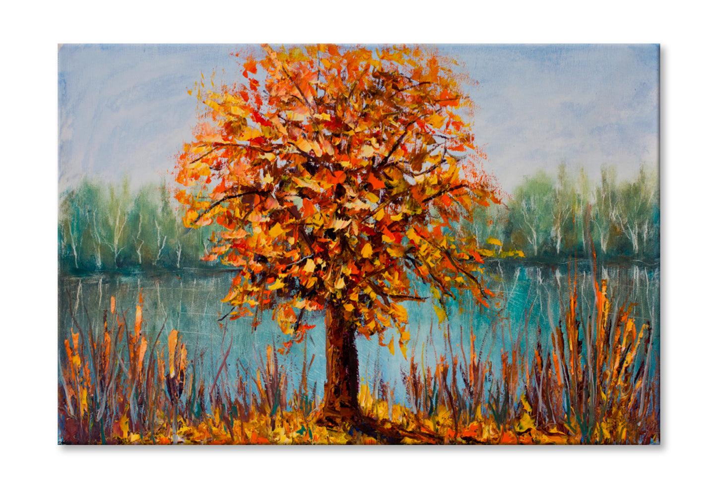 Yellow Leaves, The Reflection Of Trees Oil Painting Wall Art Limited Edition High Quality Print Stretched Canvas None