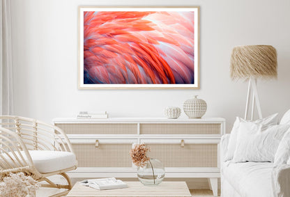 Close Up View of Pink Flamingo Feathers Home Decor Premium Quality Poster Print Choose Your Sizes