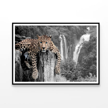 Tiger Blue Eyes Decor Premium Quality Poster Print Choose Your Sizes