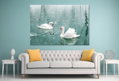 White Swans Swimming in Winter Wall Art Decor 100% Australian Made