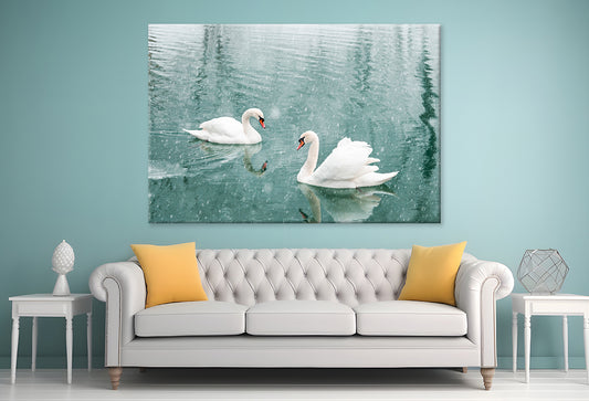 White Swans Swimming in Winter Wall Art Decor 100% Australian Made