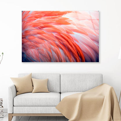 Close Up View of Pink Flamingo Feathers Acrylic Glass Print Tempered Glass Wall Art 100% Made in Australia Ready to Hang