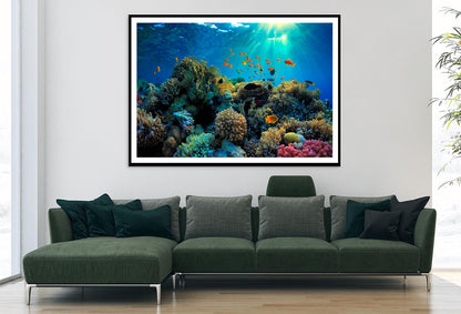 Beautiful Coral Reef and Mach Fish Home Decor Premium Quality Poster Print Choose Your Sizes