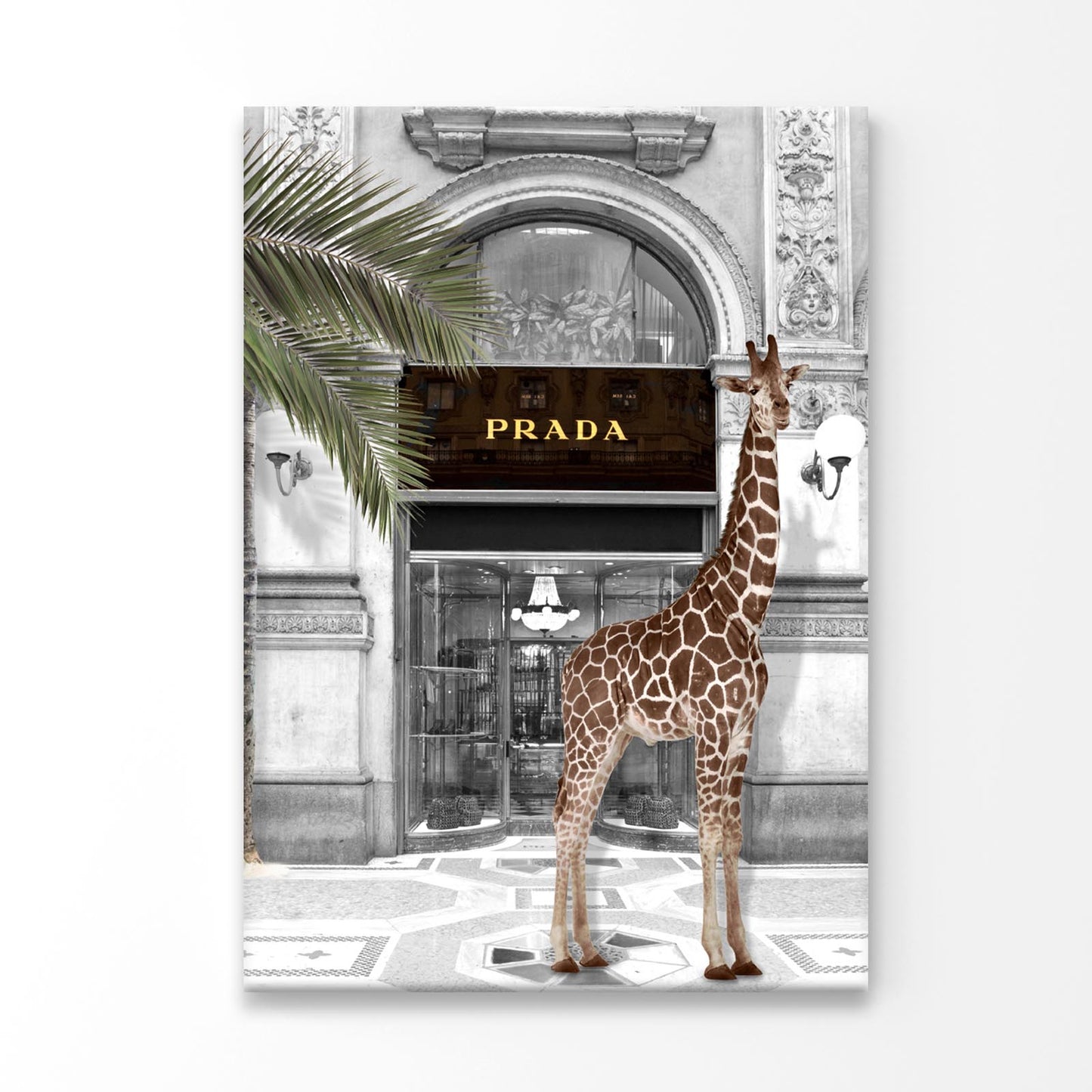 Giraffe & Fashion Store 3D Design Acrylic Glass Print Tempered Glass Wall Art 100% Made in Australia Ready to Hang