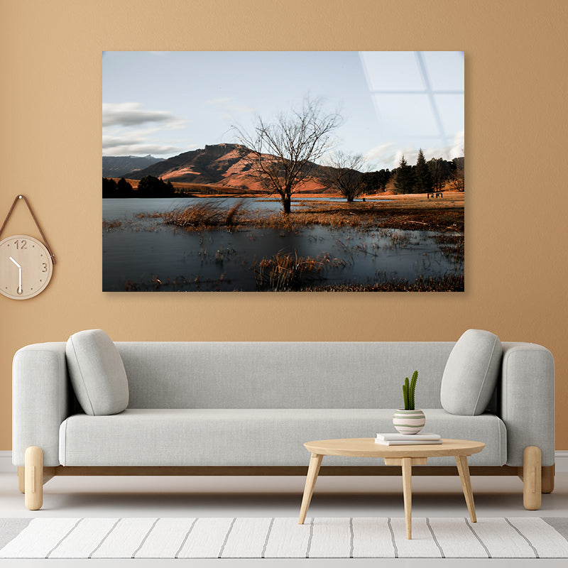 A Lake with a Tree with Mountains Acrylic Glass Print Tempered Glass Wall Art 100% Made in Australia Ready to Hang