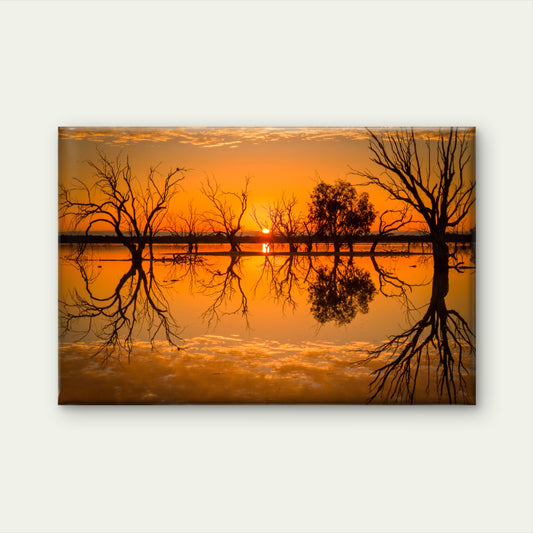 Beautiful sunrise over Lake Pinaroo in outback Australia Wall Art Decor 100% Australian Made