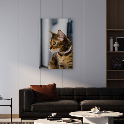 Close Up Cat Looking Away 60x90cm Metal Print Ready to Hang