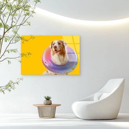 Aussie Shepherd Dog Pool Float Ring Acrylic Glass Printing Wall Art Australian Made Quality